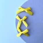tiny ribbons cover