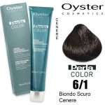 dark ash blond hair color 6/1 dye